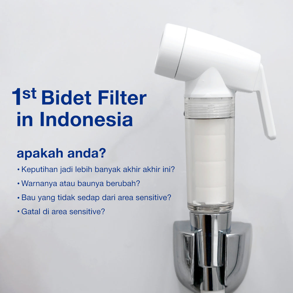 SEASEE Jet Bidet for Toilet